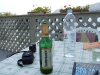 DSCF0577.jpg