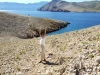 DSCF0635.jpg