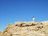 DSCF0650.jpg