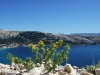 DSCF0680.jpg