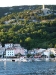 DSCF0720.jpg