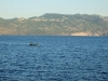 DSCF0753.jpg